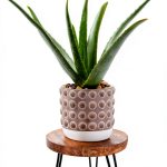 Plant Stand HomeGarden Wooden Mid Century Stand for 5-15 Inch Pots-0