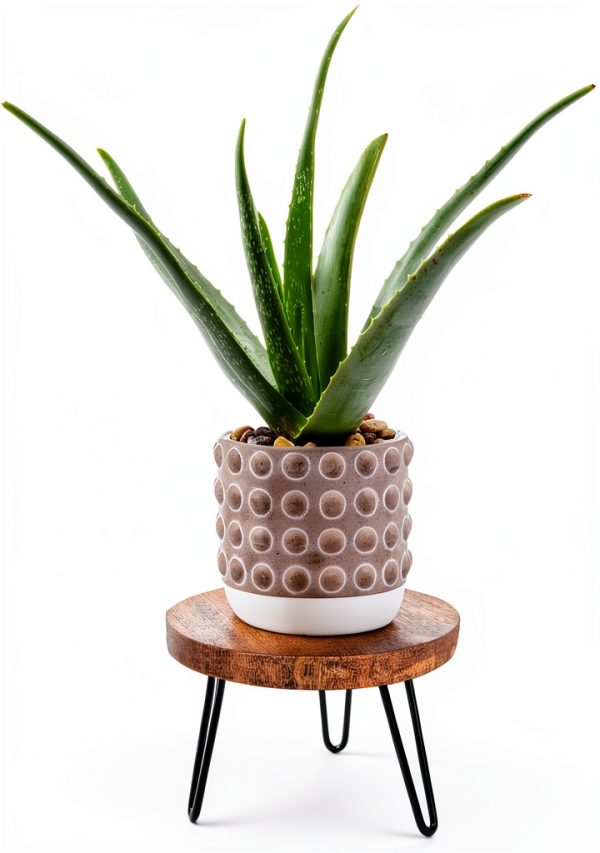 Plant Stand HomeGarden Wooden Mid Century Stand for 5-15 Inch Pots-0