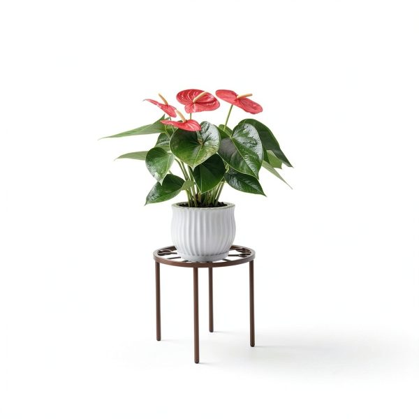 Plant Stand Metal Anti‑Rust Round Stand – Brown PS‑US‑26-5