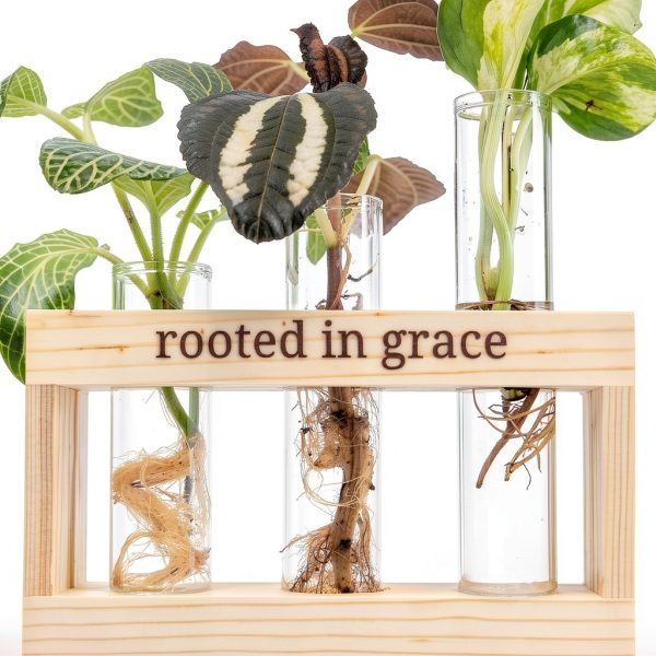 Plant Propagation Station grow 3:seven Rooted in Grace Glass Vases-6