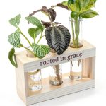 Plant Propagation Station grow 3:seven Rooted in Grace Glass Vases-0