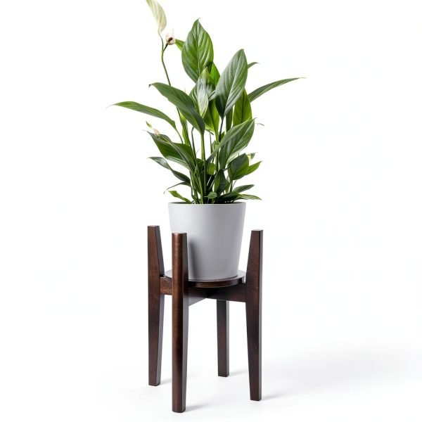 Adjustable Plant Stand Walnut 2-Pack Mid Century Modern Wood Stand-4