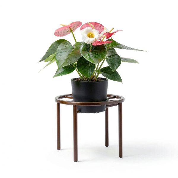 Plant Stand Metal Anti‑Rust Round Stand – Brown PS‑US‑26-4